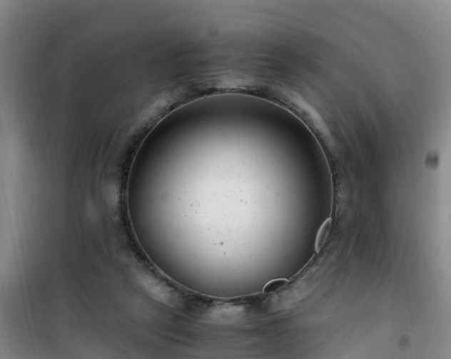 X0000101100257200807031757
