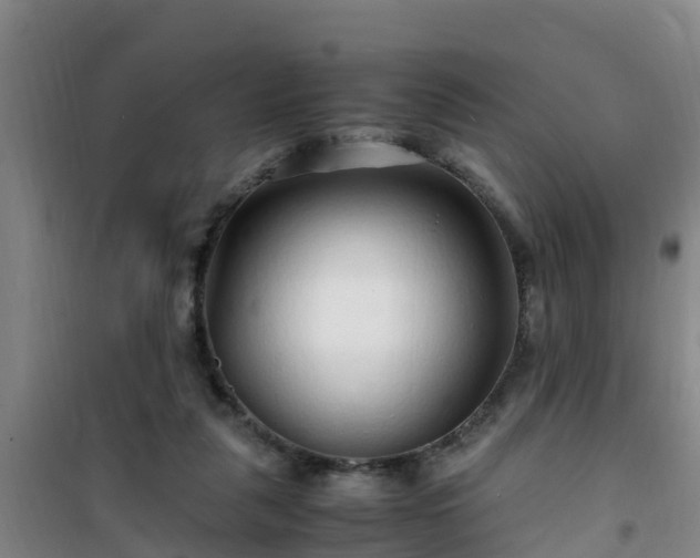 X0000101100259200807031757