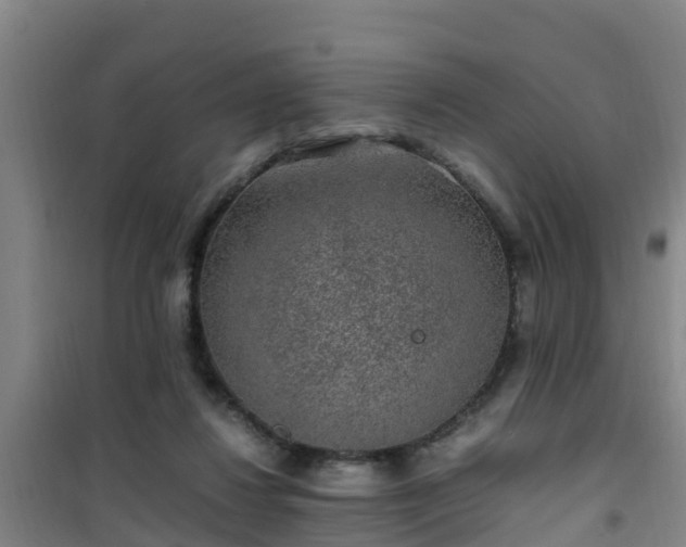 X0000101100260200807031757