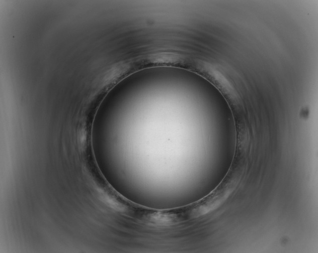 X0000101100261200807031757