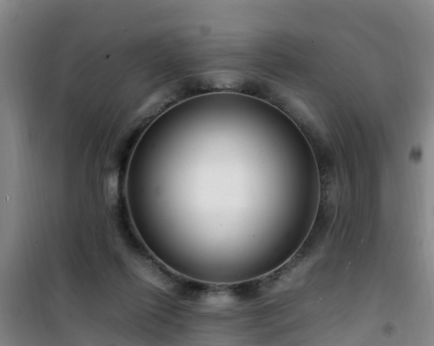 X0000101100262200807031757