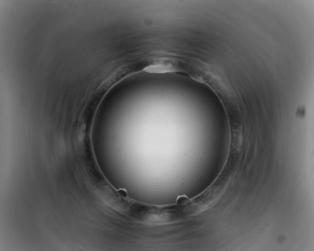 X0000101100263200807031757