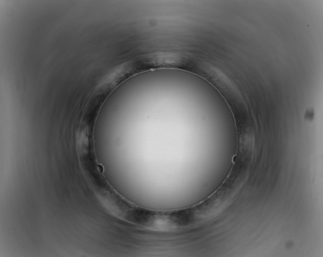 X0000101100264200807031757
