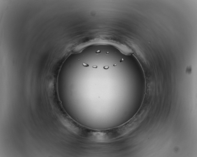 X0000101100265200807031757