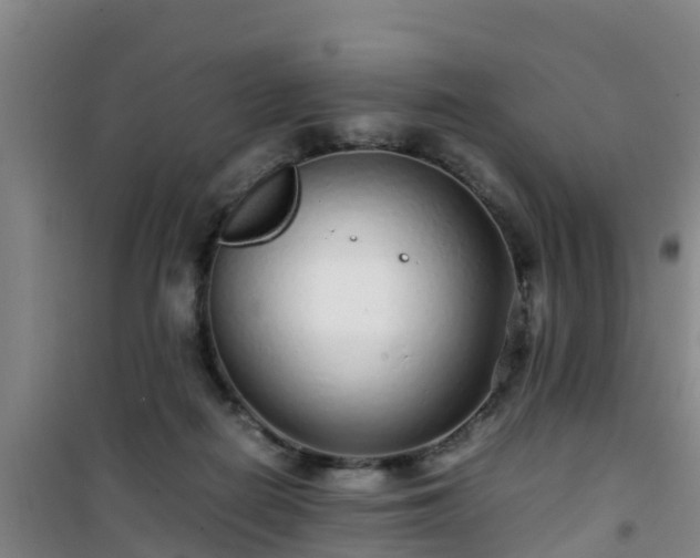 X0000101100266200807031757