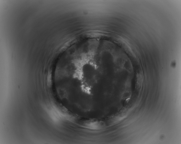 X0000101100267200807031757