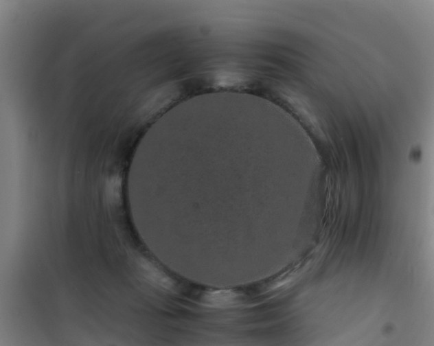 X0000101100269200807031757