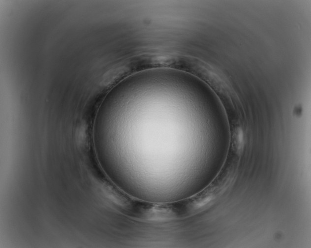 X0000101100270200807031757