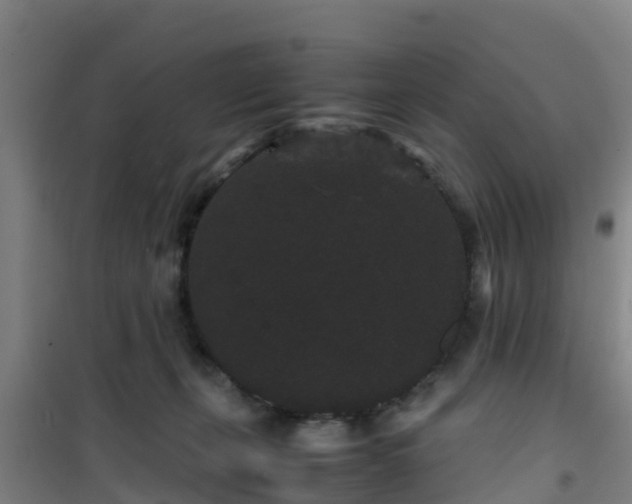 X0000101100271200807031757