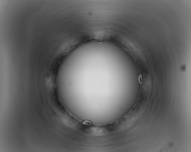X0000101100272200807031757