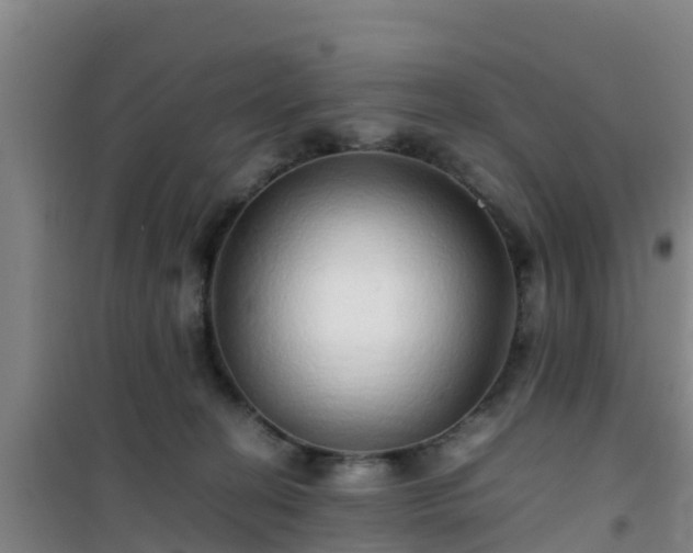 X0000101100274200807031757