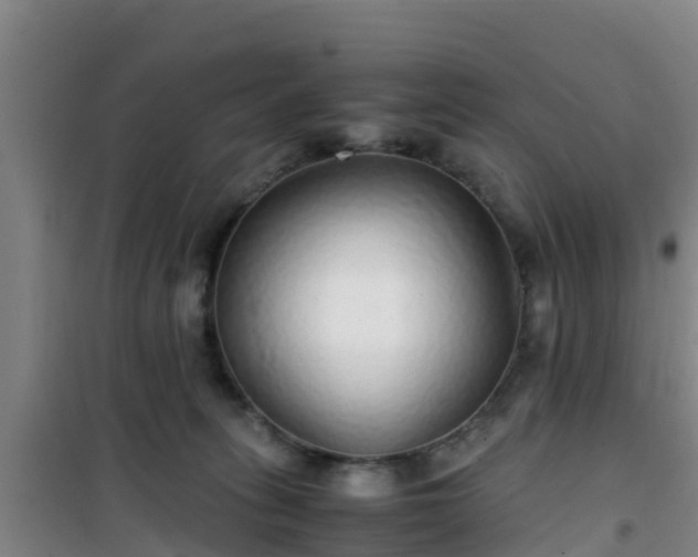 X0000101100275200807031757