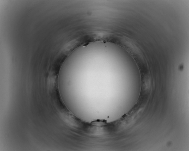 X0000101100276200807031757
