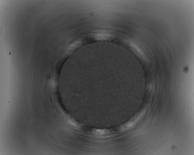 X0000101100277200807031757
