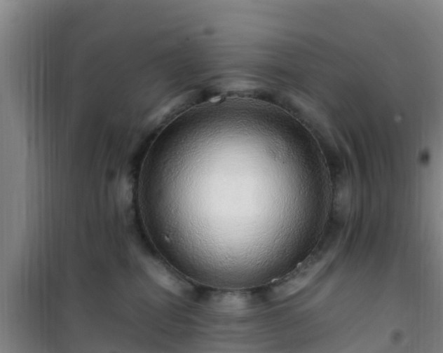 X0000101100282200807031757