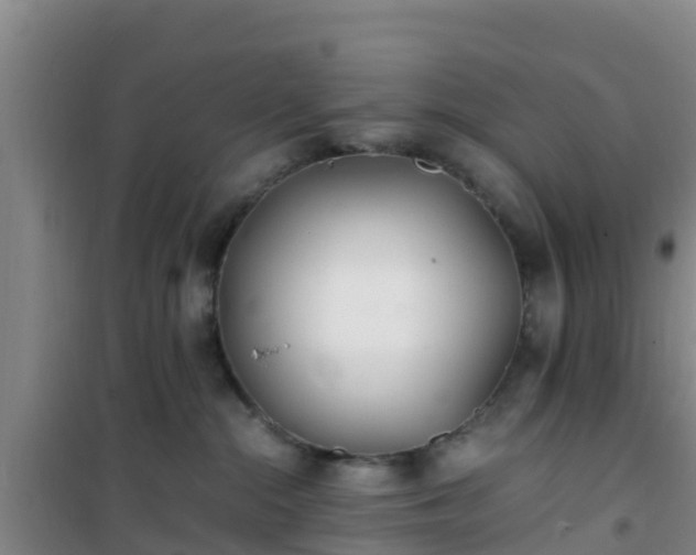 X0000101100284200807031757