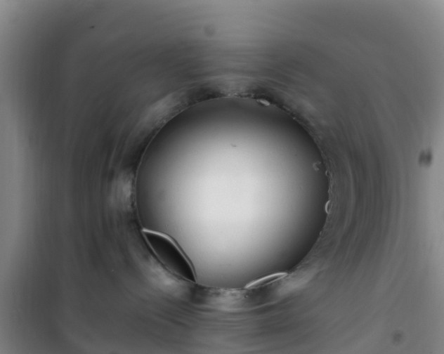 X0000101100288200807031757