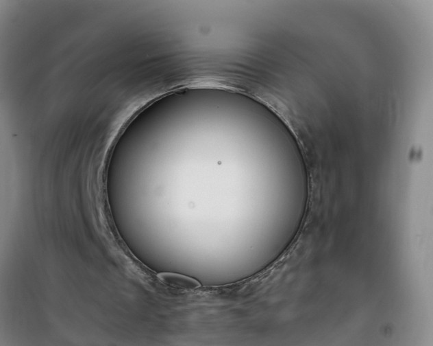 X0000101100289200807031757