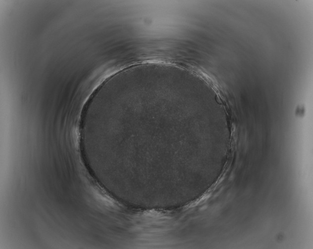 X0000101100290200807031757