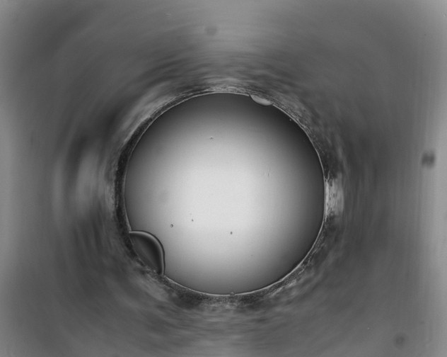 X0000101100291200807031757