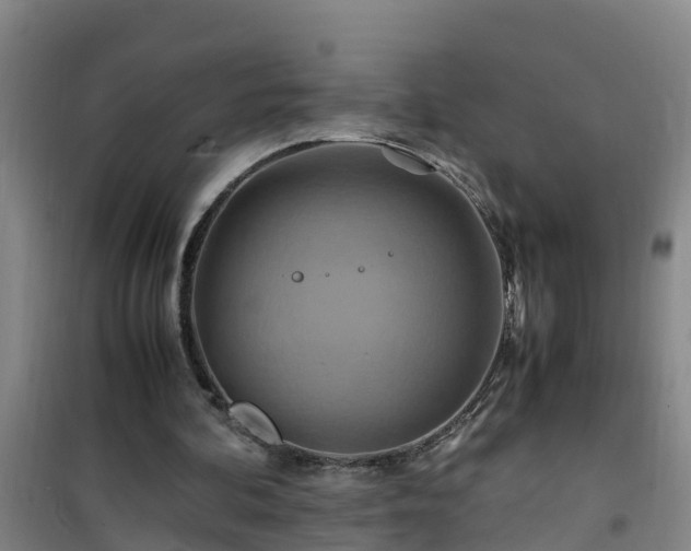 X0000101100292200807031757