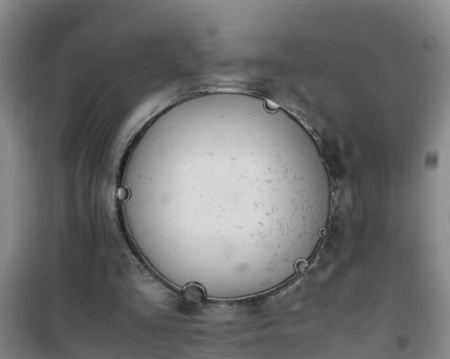 X0000101100293200807031757