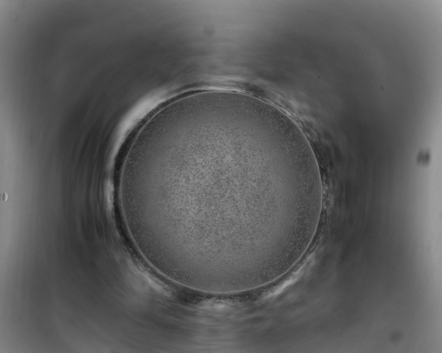 X0000101100294200807031757