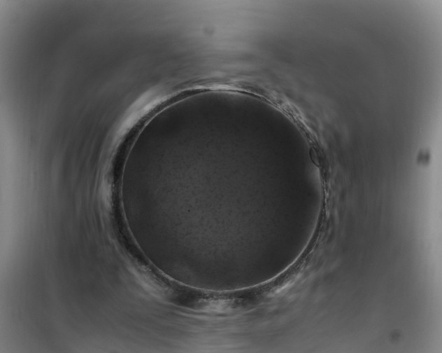 X0000101100295200807031757