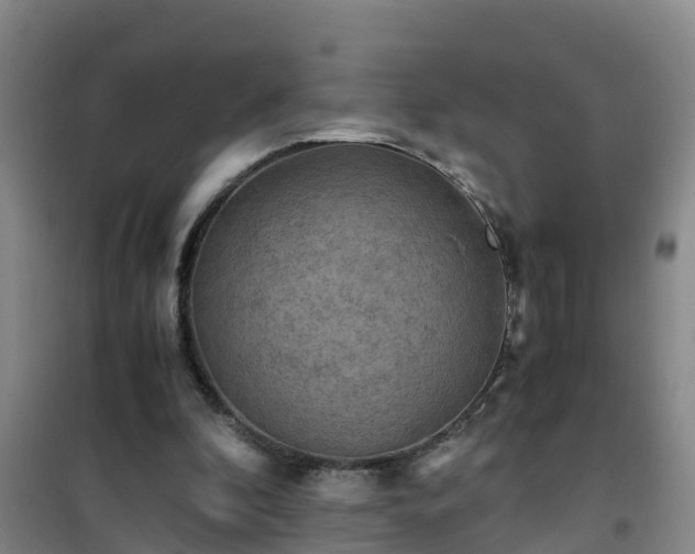 X0000101100296200807031757