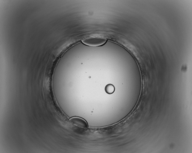 X0000101100297200807031757