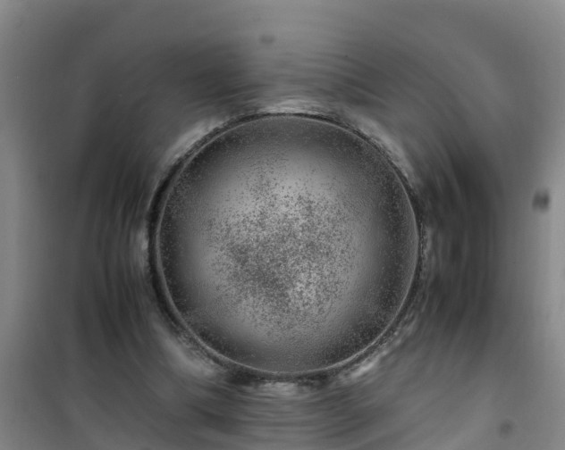 X0000101100298200807031757