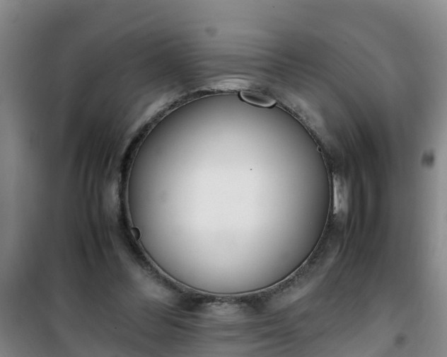 X0000101100300200807031757