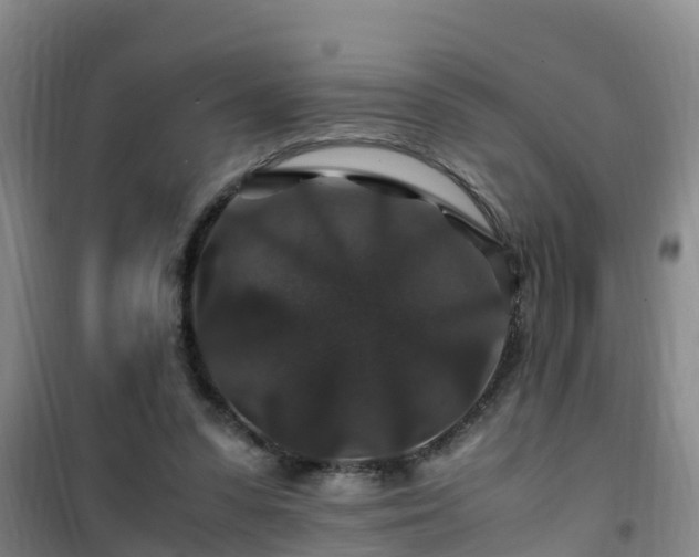 X0000101100303200807031757
