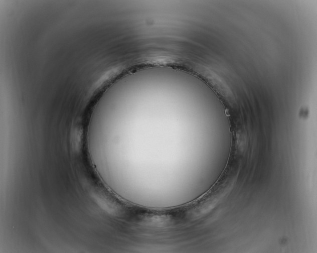 X0000101100304200807031757