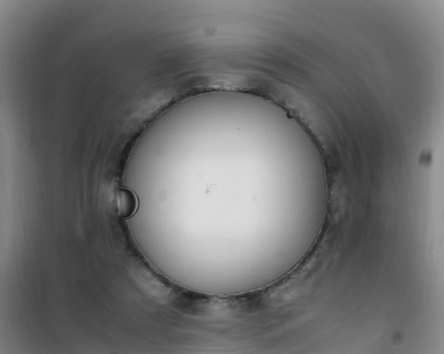 X0000101100305200807031757