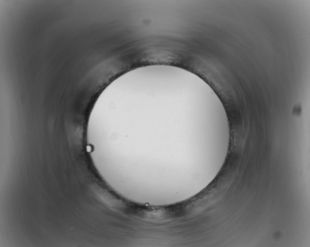 X0000101100309200807031757