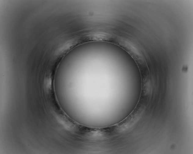 X0000101100310200807031757