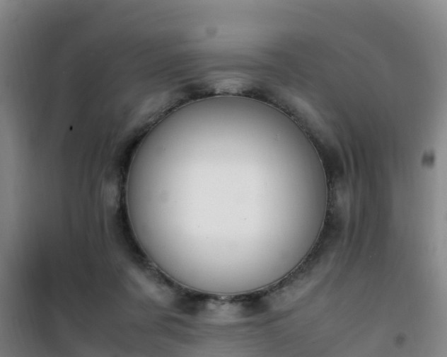 X0000101100311200807031756