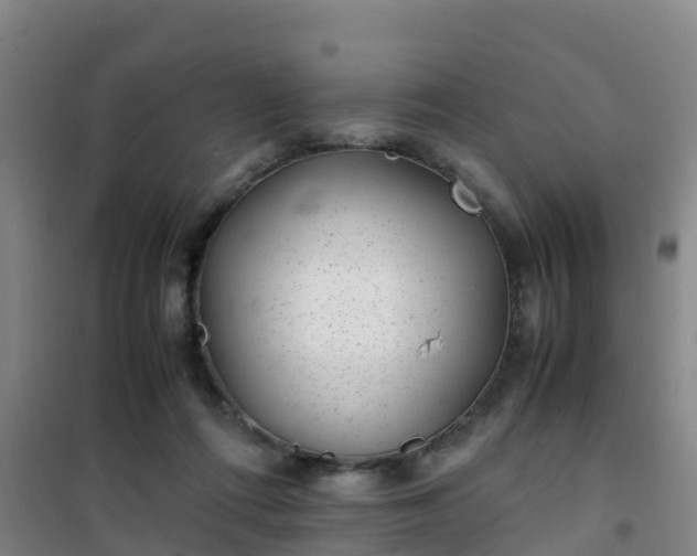X0000101100312200807031756