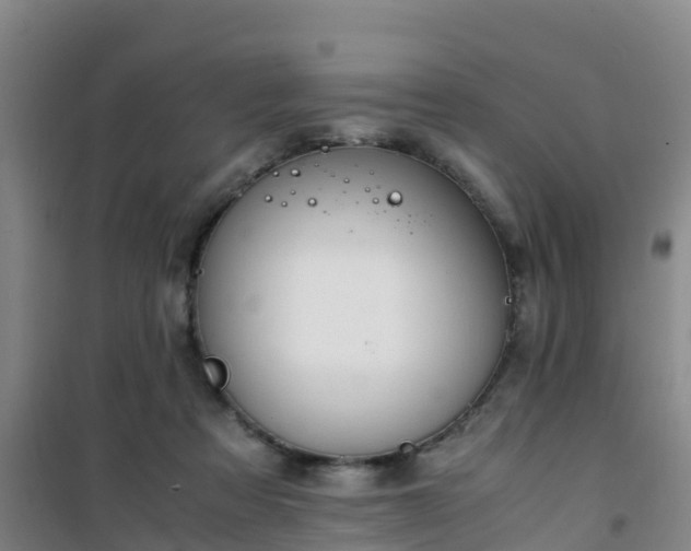 X0000101100313200807031756