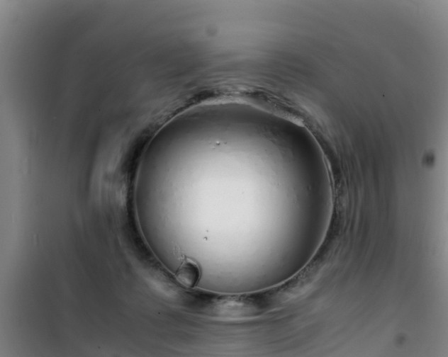 X0000101100315200807031756