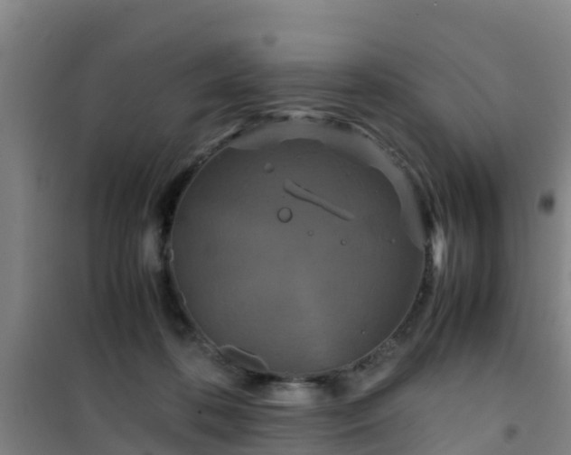 X0000101100316200807031756