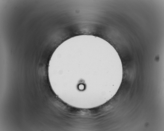 X0000101100317200807031756