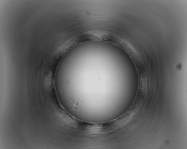 X0000101100318200807031756