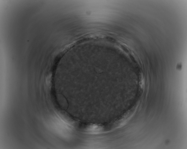 X0000101100319200807031756
