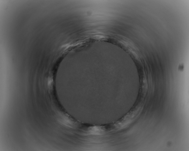 X0000101100320200807031756