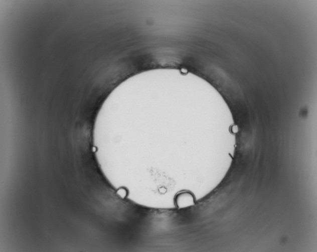 X0000101100321200807031756