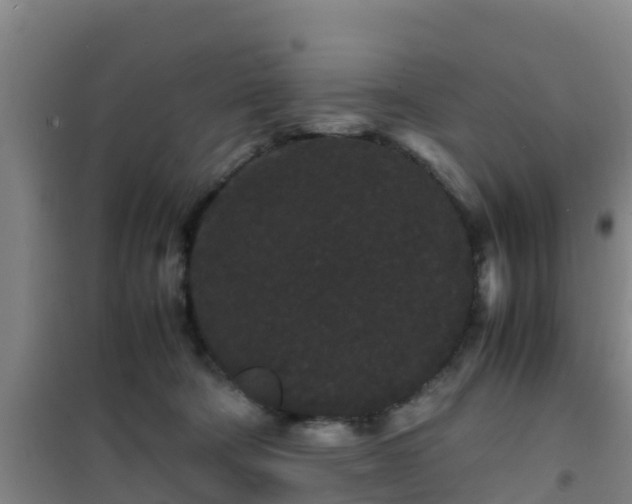 X0000101100322200807031756