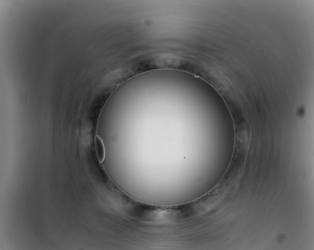 X0000101100323200807031756