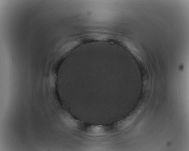 X0000101100325200807031756